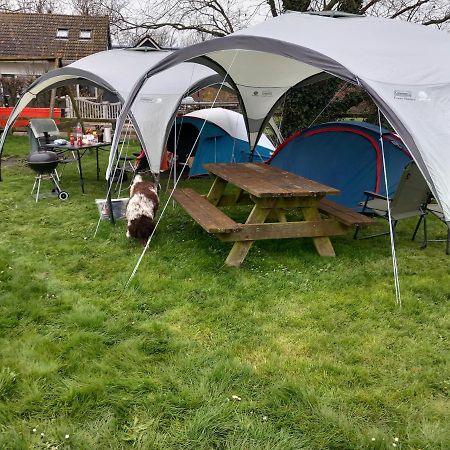 Basic 2P Tent Sotterum Hotel Cornwerd Ngoại thất bức ảnh